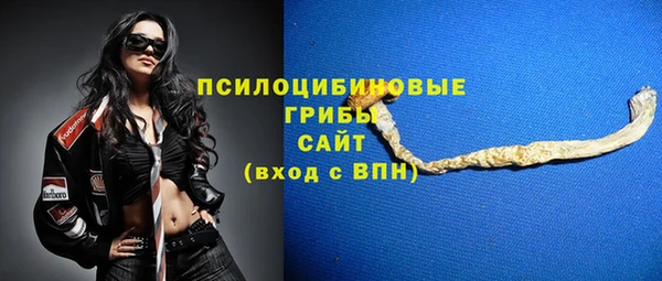 индика Арсеньев