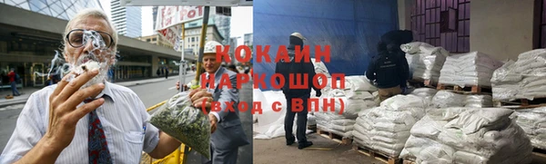 индика Арсеньев